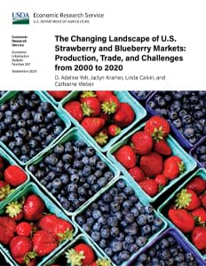 This is the cover image for The Changing Landscape of U.S. Strawberry and Blueberry Markets: Production, Trade, and Challenges from 2000 to 2020 report.